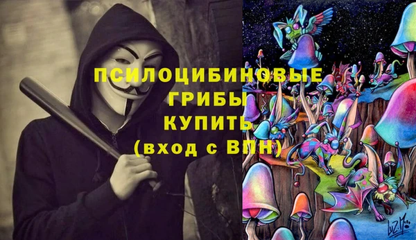 сатива Армянск